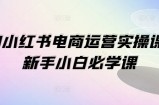 1V1小红书电商运营实操课，新手小白必学课