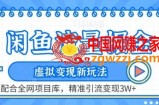 闲鱼流量掘金-虚拟变现新玩法配合全网项目库，精准引流变现3W+【揭秘】