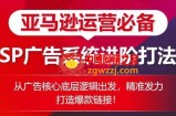 亚马逊运营必备： SP广告的系统进阶打法，从广告核心底层逻辑出发，精准发力打造爆款链接