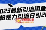 2023最新引流闲鱼创业粉暴力引流日引200+【揭秘】