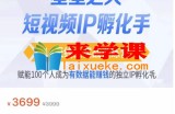 瑶瑶·自然流短视频IP孵化第二期，14天线上实战训练营，赋能100个人成为有数据能赚钱的独立IP孵化手