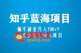 知乎蓝海玩法，躺平副业月入1W+，真正的睡后收入项目（6节视频课）