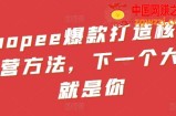 Shopee爆款打造核心运营方法，下一个大卖就是你