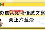 视频号情感文案，真正大蓝海，简单操作，新手小白轻松上手（教程+素材）【揭秘】