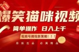 爆笑猫咪视频：简单操作，日入过K，视频号搞钱新策略【揭秘】