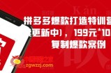 拼多多爆款打造特训营（持续更新中)，199元*100套可复制爆款案例