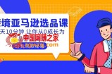 聪明人都在学的跨境亚马逊选品课：每天10分钟 让你从0成长为产品开发高手