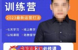 爱上黄昏·淘宝爆款训练营，2023最新运营打法，学习爆款思维，实现利润增长