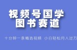 视频号国学图书赛道，十分钟一条精选视频，小白轻松月入过万