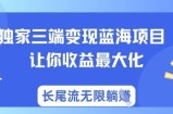 独家三端变现蓝海项目，让你收益最大化，长尾流无限躺挣