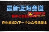 最新蓝海赛道，新手小白日入500+，你也能成为下一个公众号流量主【揭秘】