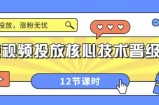 短视频投放核心技术晋级课：掌握投放，涨粉无忧（12节课时）
