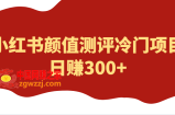 外面4980的项目，小红书颜值测评冷门项目，日赚300+