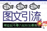 2023年价值1980的图文引流创业粉螺旋起好技术暴力起粉加爆微信