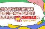 拼多多培训班第34期：做高价女装必盈利剖析选品/测款/运营/推广/拓展
