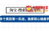 淘宝-搜索高级课程：多个类目第一实战，独家核心操盘手法