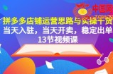 拼多多店铺运营思路与实操干货，当天入驻，当天开卖，稳定出单（13节课）
