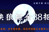 侠狼掘金38招第5招空手套白狼，域名的挖掘与出售年入50万