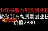 小红书暴力引流创业粉，教你引流高质量创业粉，价值2980【揭秘】