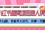 小红书蓝海项目路人消失术，帮人p图，也能月入过万，实测一天300+【揭秘】