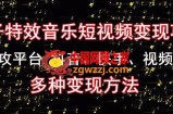 黄岛主《粒子特效音乐短视频变现项目》主攻平台抖音、快手、视频号多种变现方法