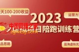 黄岛主拼多多虚拟项目陪跑训练营1.0，单店每天100-200收益，独家选品思路和运营