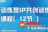 **训练营3.0IP共创训练营私密实操课程（12节）-卖项目的密码成功秘诀【揭秘】