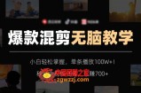 爆款混剪无脑教学，小白轻松掌握，单条播放100W+！秒过中视频任务，日赚700+【揭秘】