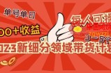 2023新细分领域带货计划：单号单日1000+收益不难，每人可操作3-5个账号