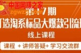 南掌柜-第17期打造淘系标品大爆款，5天线上课