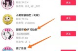 新手操作抖音助眠项目，新手如何玩转抖音，每天赚300起