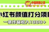最新蓝海项目，小红书颜值打分项目，一条作品收入1000+【揭秘】