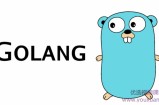 最新 Go语言零基础微服务项目