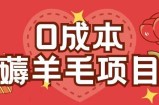 0成本，薅羊毛玩法一分钱不花一部手机即可操作单机1个小时30+