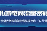 私域电商流量密码：千万级大佬教您如何做私域电商（12节课）