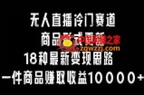 无人直播冷门赛道，商品形式更新，18种变现思路，一件商品赚取收益10000+【揭秘】