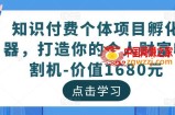 知识付费个体项目孵化器，打造你的个人财富收割机-价值1680元