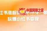 小红书涨粉变现必修课，带你玩赚小红书变现