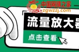 流量放大器，抖音公私域变现+soul私域轰炸器【揭秘】