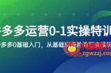 拼多多-运营0-1实操训练营，拼多多0基础入门，从基础到进阶的可实操玩法