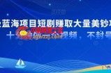 超级蓝海项目短剧赚取大量美钞项目，国内短剧出海tk赚美钞，十分钟做一个视频【揭秘】