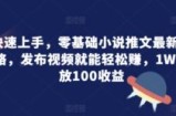 快速上手，零基础小说推文最新攻略，发布视频就能轻松赚，1W播放100收益