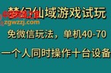 梦幻仙域游戏试玩，免微信玩法，单机40-70，一个人同时操作十台设备【揭秘】