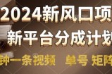 2024风口项目，新平台分成计划，两分钟一条视频，单号 矩阵皆可操作轻松上手月入9000+