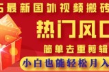 2025最新视频搬砖项目，热门风口，简单去重剪辑，小白也能轻松月入过W