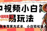 中视频小白简易玩法，操作简单变现方式多，小白轻松日入500+！【揭秘】
