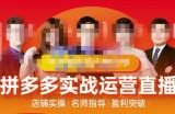 推易电商·10月份拼多多线上直播课程，实时玩法，爆款打造，改销量，补大单，AB单，直播等