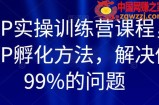 百万IP实操训练营课程，完整的IP孵化方法，解决做号99%的问题