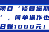 新项目‘修复逾期记录’，简单操作也能日赚1000元！【视频教程】