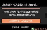 嘉宾副业说实操36技第四技：零基础学习淘宝虚拟课程售卖开启电商躺赚赚钱之路
